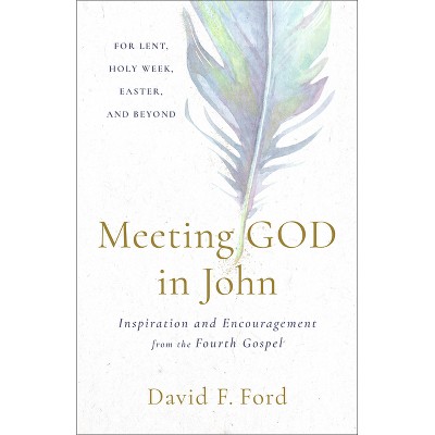 Meeting God in John - by  David F Ford (Paperback)