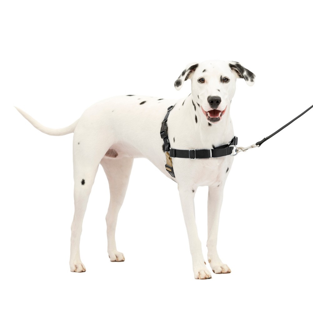 Photos - Collar / Harnesses PetSafe Easy Walk Adjustable Dog Harness - M/L - Black 