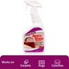 Capture Carpet Spot and Stain Remover - 32oz - 4 of 4