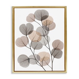 Stupell Industries Modern Eucalyptus Leaf Stems Translucent Brown Grey Leaves Floating Frame Canvas Art, Gold, 25" x 31" - 1 of 4
