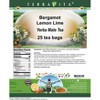 TerraVita Bergamot Lemon Lime Yerba Mate Tea (25 tea bags, ZIN: 547117, 3-Pack) - 2 of 4