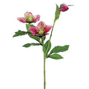 Allstate Floral 22" Pink Helleborus Artificial Decorative Spray - 1 of 4