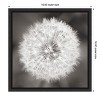 Amanti Art Dandelion Seedhead by Alan Majchrowicz Framed Canvas Wall Art - 4 of 4