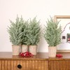 Melrose Frosted Holiday Pine Tree (Set of 4) - 3 of 3
