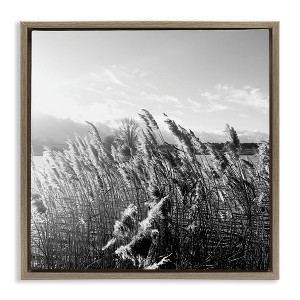 Stupell Industries Tall Grass Lake Water Landscape, 18" x 18" - 1 of 4