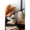 Rustic Clay Storage Jars – 9.5" Tall Bird Handle Canisters by Kalalou - 2 of 4
