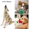 Nocciola 12 PCS Dog Squeaky Toys with Takeout Bag,Christmas gift,Cute Plush Small Dog Toys for Small to Medium Dogs - 3 of 4