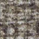 dark brown, camel, ivory, mustard, dark red