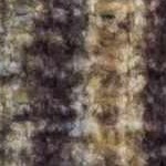 dark brown, camel, ivory, mustard, dark red