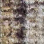 dark brown, camel, ivory, mustard, dark red