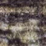 dark brown, camel, ivory, mustard, dark red