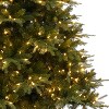 Home Imports Emporium Traditional Artificial Fir Christmas Prelit Tree with Lights, Green - 3 of 4