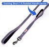 Pawtitas Padded Dog Training Leash 6FT Reflective No-Pull Lead with Dual Padded Handles for Control & Safety - 4 of 4