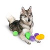 Midlee Squeaky and Crinkley Plush Dog Balls (Refill for Midlee Hide a Ball) - image 2 of 4