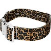Country Brook Petz HossFit Jr Wide Premium  Dog Collar - Animal Print Collection - 2 of 4