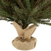 Northlight 3' Unlit Artificial Christmas Tree Warsaw Twig - 4 of 4