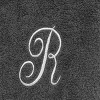 Avanti  Granite with Silver Script Monogram Bath Towel Letter   R - 2 of 3