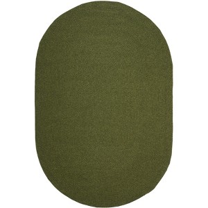 Braided BRD315 Hand Woven Area Rug - Safavieh - 1 of 3
