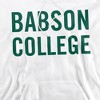 Babson College Official Stacked Adult Pull-Over Hoodie - 2 of 4