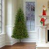 National Tree Company 7 ft. Canadian Grande Fir Tree - 2 of 3