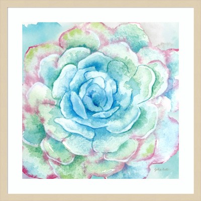 Sweet Succulents I Svelte Natural Framed Graphic Art Print