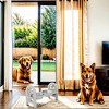 Mewoofun Adjustable Pet Bowl for Feeding, Travel-Ready Design - 2 of 4