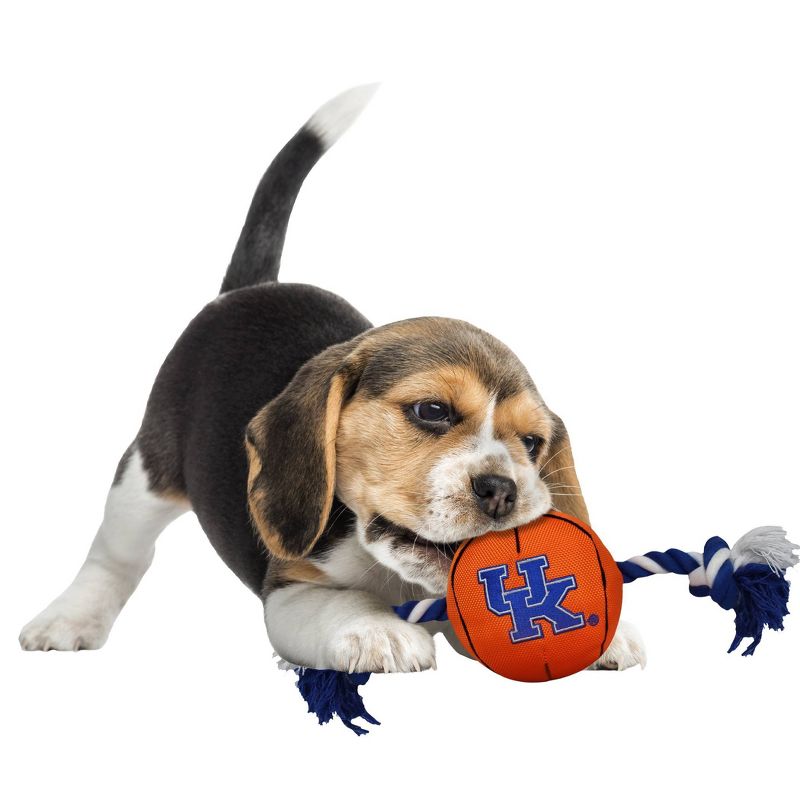 NCAA Kentucky Wildcats Basketball Rope Dog Toy, 3 of 4