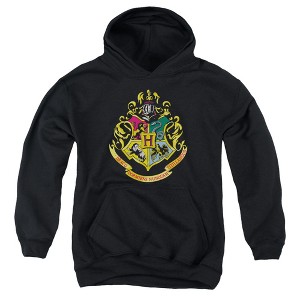 Boys’ Harry Potter Hogwarts School Crest Hooded Sweatshirt - 1 of 4