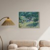 Art Remedy Vincent van Gogh - Olive Orchard Van Gogh Classic Fields and Floral Wall Art Framed - 2 of 4