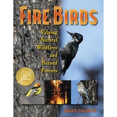 Fire Birds - by  Sneed B Collard (Hardcover)