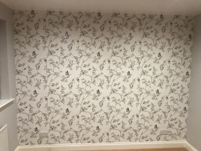 Guest review image 1 of 1, zoom in