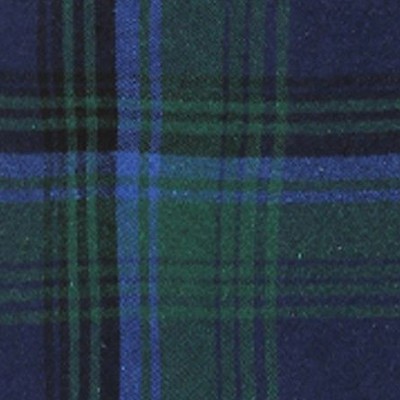 navy green