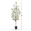 HomeStock  5.5 ft. Artificial Olive Tree in Pot for Indoor/Outdoor - 2 of 4