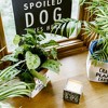 Pavilion Gift Company - Spoiled Dog - 14" x 16" Banner - Wall Sign Panels - 3 of 4