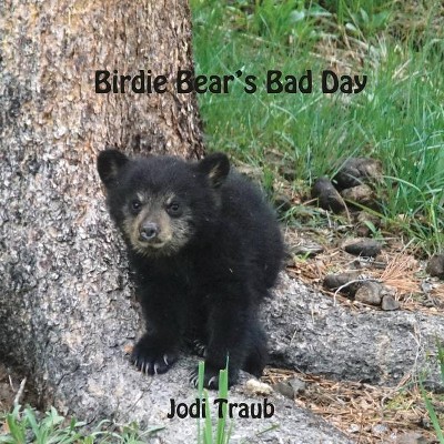 Birdie Bear's Bad Day - by  Jodi Traub (Paperback)