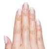 Olive & June Press-On Fake Nails - 42ct - 4 of 4