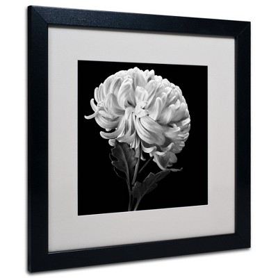 Trademark Fine Art -Michael Harrison 'Mum II' Matted Framed Art