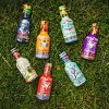 Arizona Southern Style Fruit Punch - 16.9 fl oz - 3 of 3