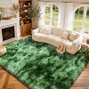 Tie-Dyed Green Fluffy Area Rug, Ultra Soft Non-Slip Mat with 4 Stickers, Multiple Sizes for Home Decor - 2 of 4