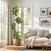 Fiddle Leaf Fig Tree Artificial Indoor, 5FT Tall Faux Rubber Tree with Sphere Planter, Tall Artificial Plants with Moss - 2 of 4