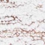 ivory/beige