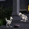 11" Chicken Skeleton Halloween Decorative Prop - Hyde and EEK! Boutique™ - 2 of 3