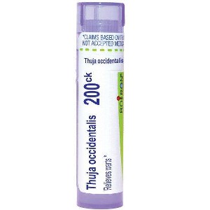 Thuja Occidentalis 200CK by Boiron Homeopathic Single Medicine For First Aid  -  80 Pellet - 1 of 4