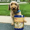 Pet Factory CareChewz Collagen Twist Keys - 6-7", 6 Count - 3 of 4