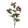 Floral Home 32" Orange Hypericum Spray - 12-Piece - 2 of 2