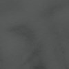 charcoal