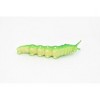 Collectible Wildlife Gifts | Tomato Worm, Green, Hornworm, Larva, Plastic Toy Insect Kids Gift, Realistic Figure, Model,    2 1/2"   - F1056 B190 - 4 of 4