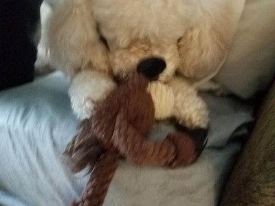 Guest review image 3 of 3, zoom in