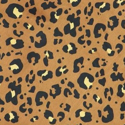 brown-jngle