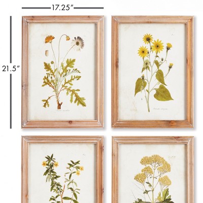 Golden Wildflower Study Set with Natural Wood Frames